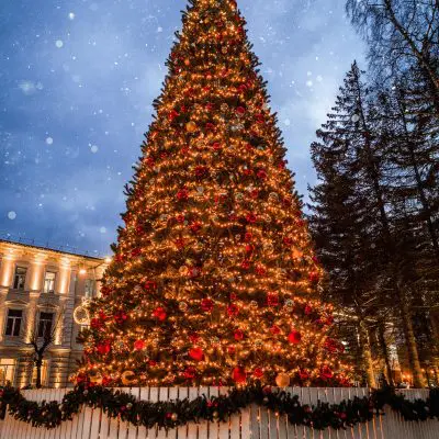 pexels iurii laimin 78973777 10507172 min