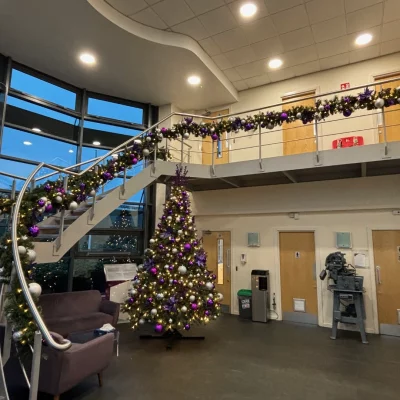 christmas decorators 55