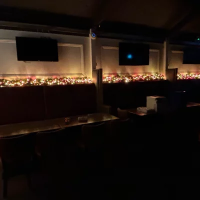 christmas decorators 65