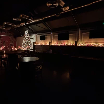 christmas decorators 66