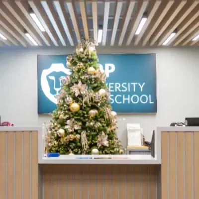 Commercial Office Christmas Decorations