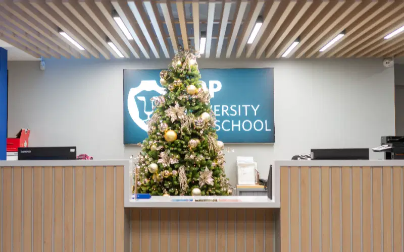 Commercial Office Christmas Decorations
