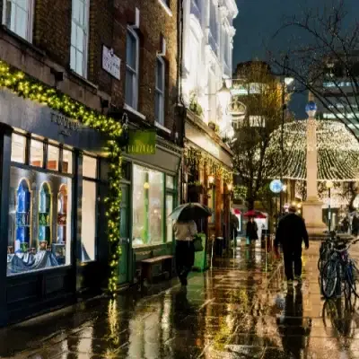 Commercial Retail Christmas Decorations
